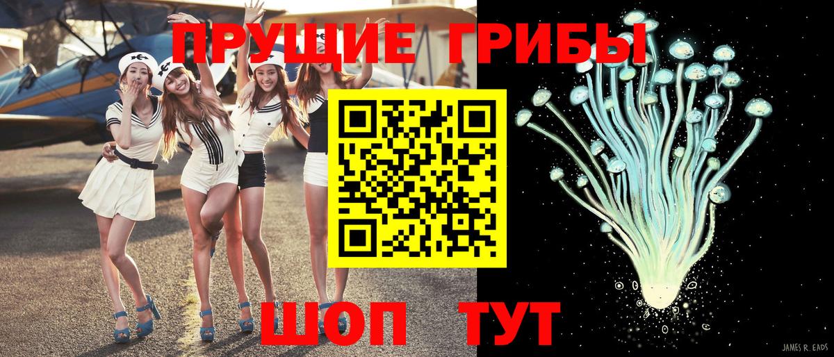 Зеленодольск  где купить наркотик  Вход с VPN  Галлюциногенные грибы мицелий 